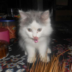 Ratna Heraningrum profile icon