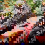 Ninda karisa profile icon