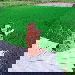 วานิดา บีบี นาบุดดา profile icon