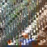 Sisca Sagita profile icon