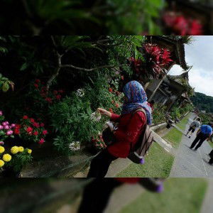 Mochie Mochie Mel profile icon