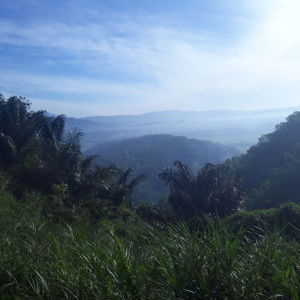 Febby Ummu Rufaidah profile icon