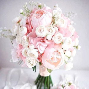 Kina Sakinah Asy-syarif profile icon