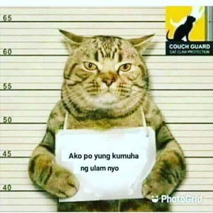 Bueno Mestiza profile icon