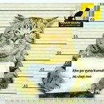 Bueno Mestiza profile icon