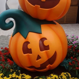 Abigail profile icon