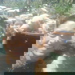 Cathy-Rine Reyes Banagbanag profile icon