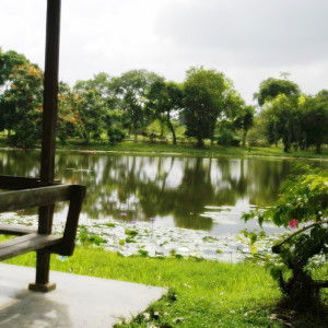 Amina Jannah profile icon