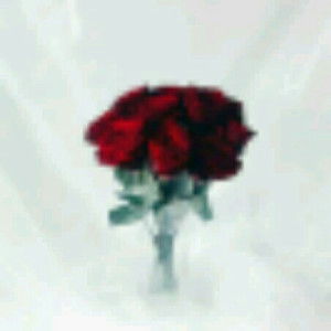 Princessqayda profile icon