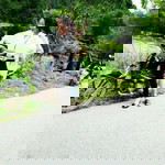 Hằng Lộc profile icon