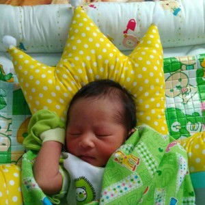 Amelia N. Afifa profile icon