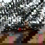 Candy Thiloanluu profile icon