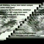 Shinta Mayasari profile icon