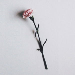 MummyRose profile icon