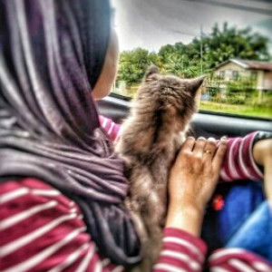 ShaFrizah profile icon