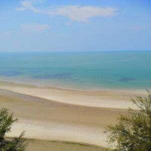 Jasmin Kahmis profile icon