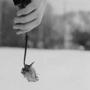 eyka syafika profile icon