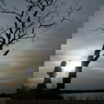 Hama Ni profile icon