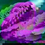 Baiq Yusrini profile icon