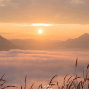 Enjoyeiei profile icon