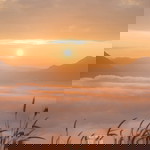 Enjoyeiei profile icon