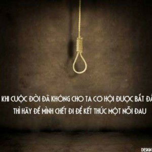 Bichngoc Nguyen profile icon