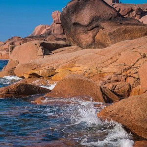 Rapi Alghifari profile icon