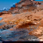 Rapi Alghifari profile icon