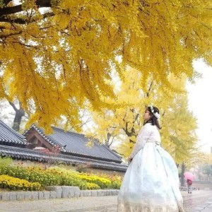 Nhu Quynh profile icon