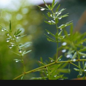 Anie 5c3b2G❤ profile icon