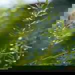 Anie 5c3b2G❤ profile icon