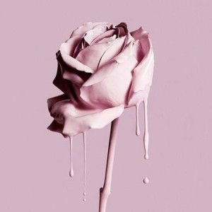 Sha Zulkifli profile icon