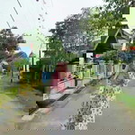 tari hardianti profile icon