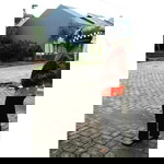 Yulisya profile icon