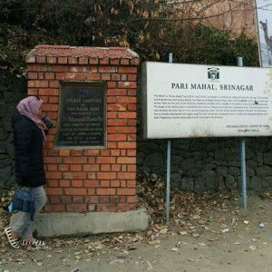 Nadia Farhan profile icon