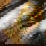 Madonna Isaacs profile icon