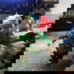 วุฒิภัทร ทวีสิงห์ (น้องเชฟ) profile icon