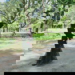 Nasrin Morni profile icon