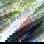 ก้อยซัง เอวซิ่ง profile icon