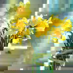 email ku profile icon