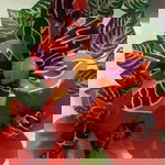 Esa Argarini profile icon