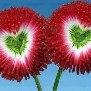 Adilah Abdullah profile icon