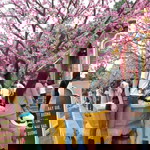 Dung Hạ profile icon