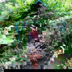 Nur Shaza profile icon