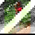 เรวิกา จันทโชติ profile icon