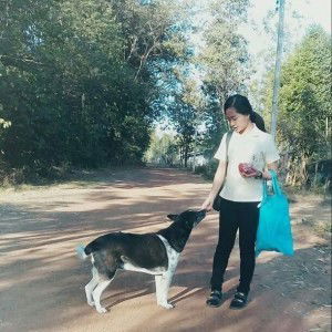 Tungting Yongpanya profile icon