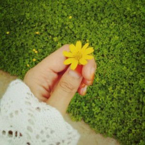 Vasva Floresta profile icon