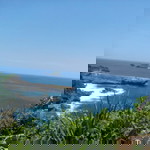 nurilla rilla profile icon