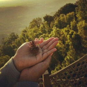 friska pratama profile icon