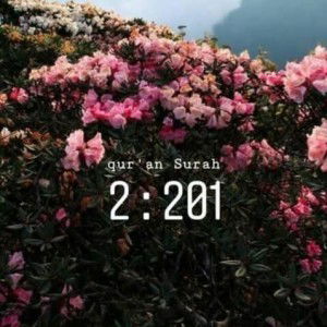 Nisa Ull profile icon